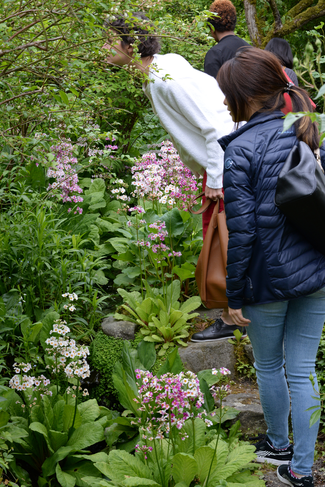 Group touring the garden