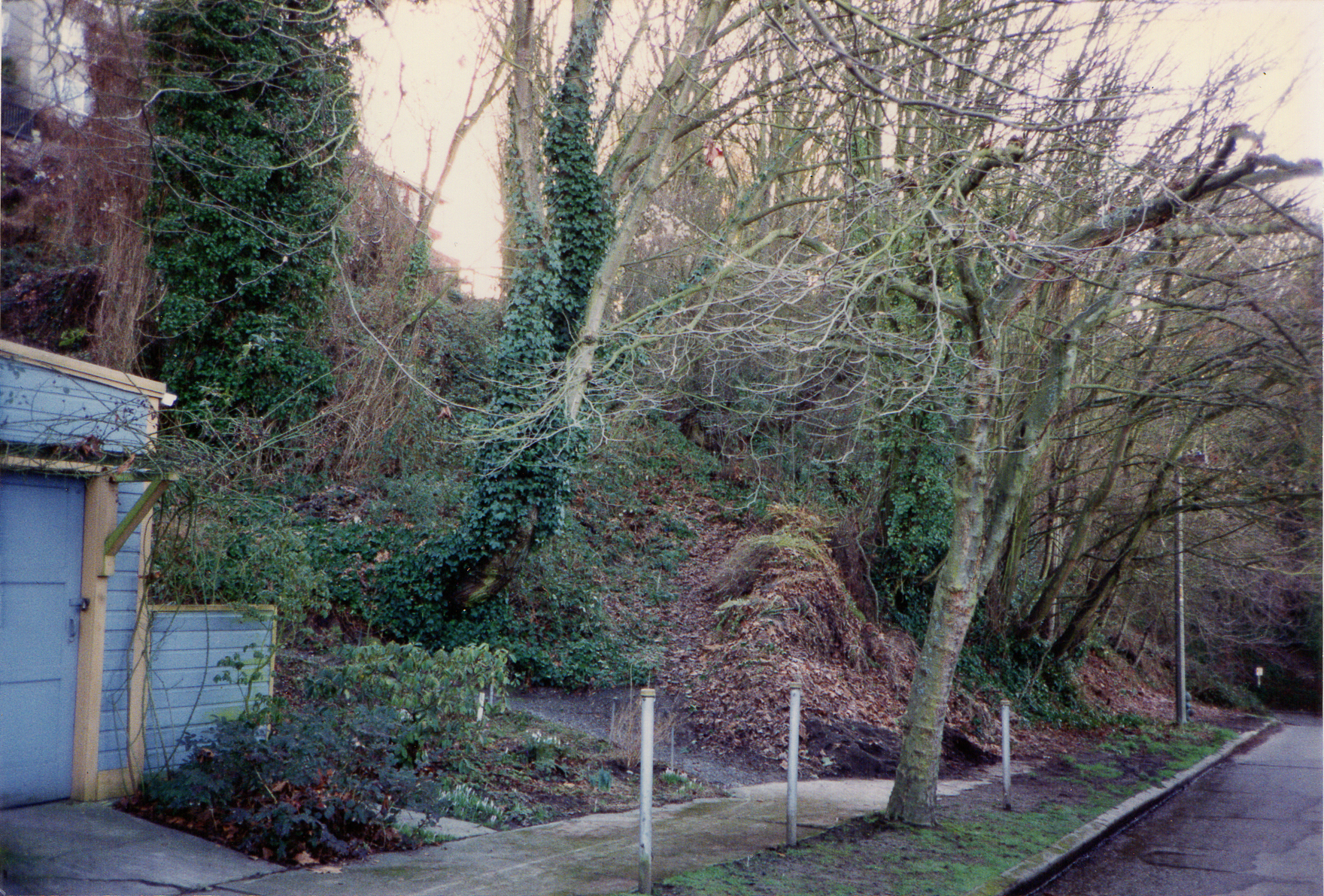 View of the Lower Dell and Slide Path in 1994